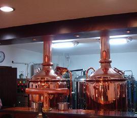 150升-1000升智能自動控溫排壓遙控系統(tǒng)釀酒設(shè)備出售及訂