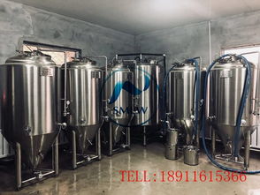 小型啤酒廠釀酒設備,德國精釀啤酒設備,2噸自釀啤酒設備價格